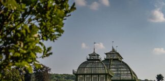 Viaggiare in treno da Roma a Vienna e Monaco di Baviera con il nuovo treno