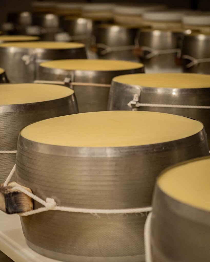 Visita Caseificio Parmiggiano Reggiano DOP